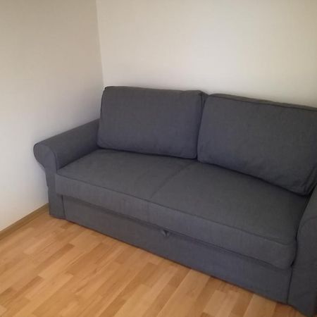 דרוסקינינקאי Apartment For Rent מראה חיצוני תמונה